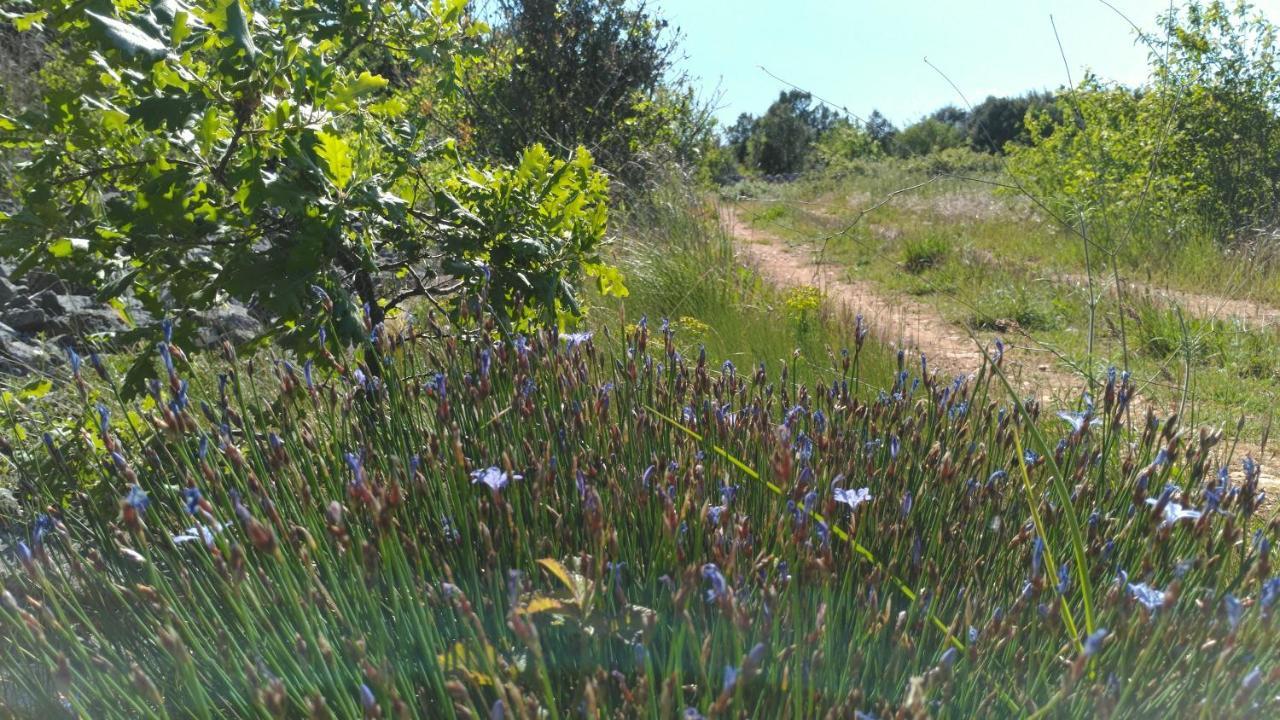 Gite Bardelle Orgnac-l'Aven Luaran gambar